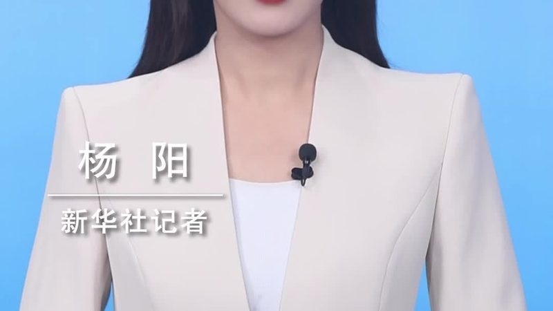 软件稳定性测试：关键步骤与注意事项